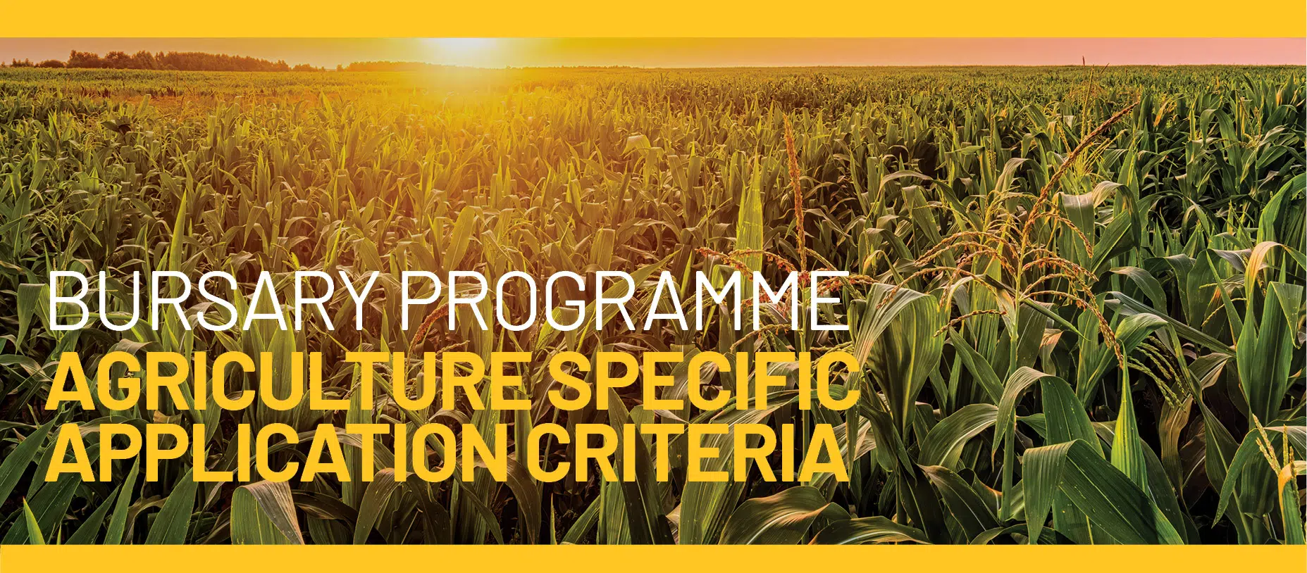 Santam Agriculture Bursary Programme